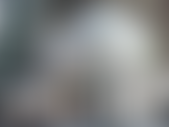 L'univers XXL des flagships Dior