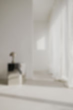 kaboompics_chromatic-harmony-modern-interiors-with-steel-accents-and-natural-light-35150.j