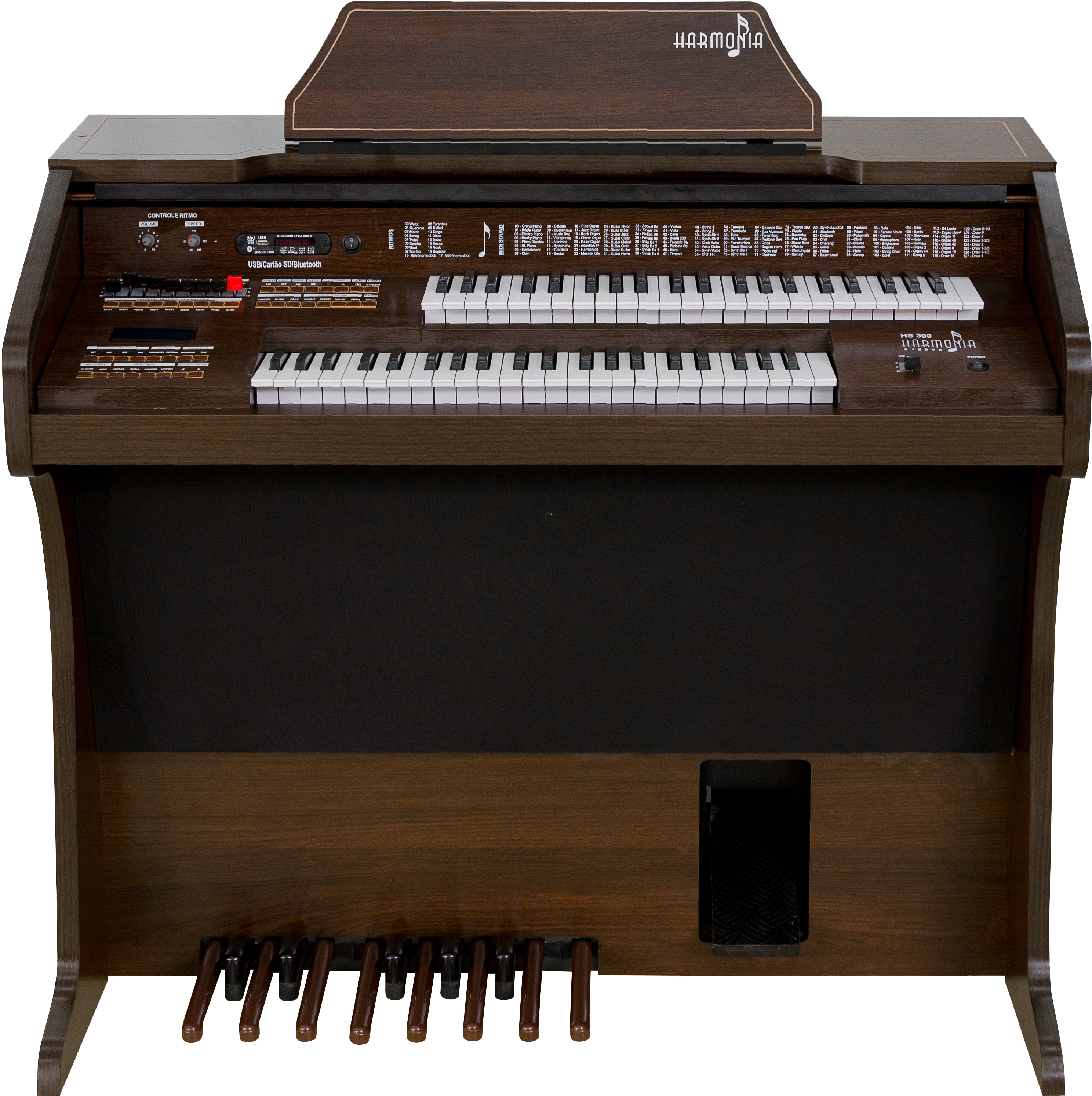 HS-300