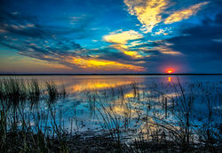 Nature Conservancy Sunrise