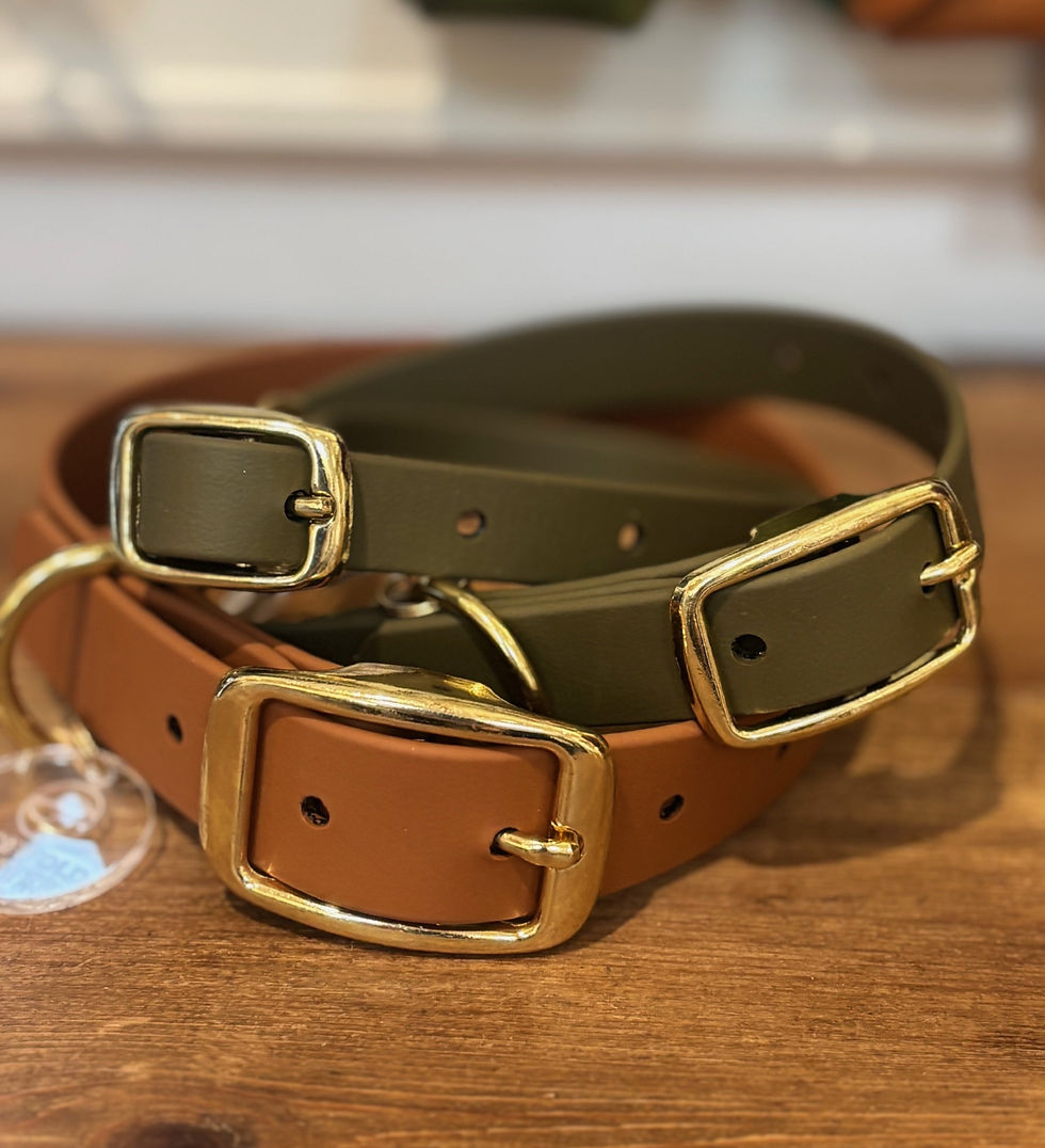 Olive and tan dog collar stack with brass buckles