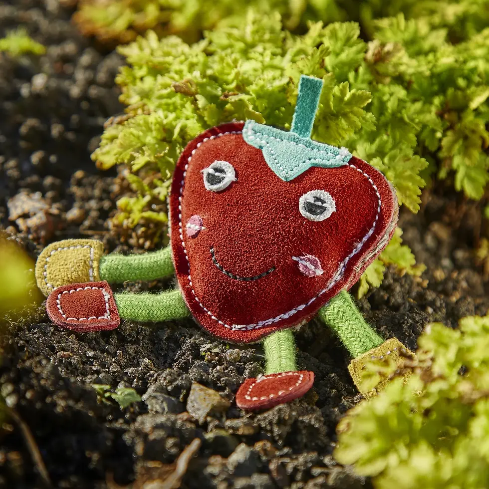 Strawberry shaped dog toy on green bush