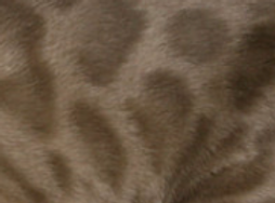 Screenshot 2025-05-02 at 1.28.50 pm.png