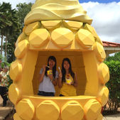 Pineapple everything