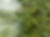 shutterstock_2204089029.jpg