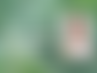 BIG President: Blake Brannon, Featured on Recycling Today Podcast, "Fresh Perspective"