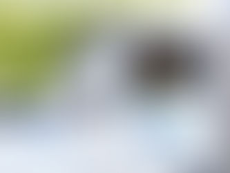 5 Summer Crafts for Kids Using Recyclables