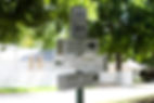 visit historic downtown Chappell Hill