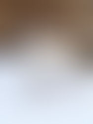 PS in 36381 Schlüchtern: PITUFO - ca. 2020 - Pirat auf der Suche nach sicherem Hafen