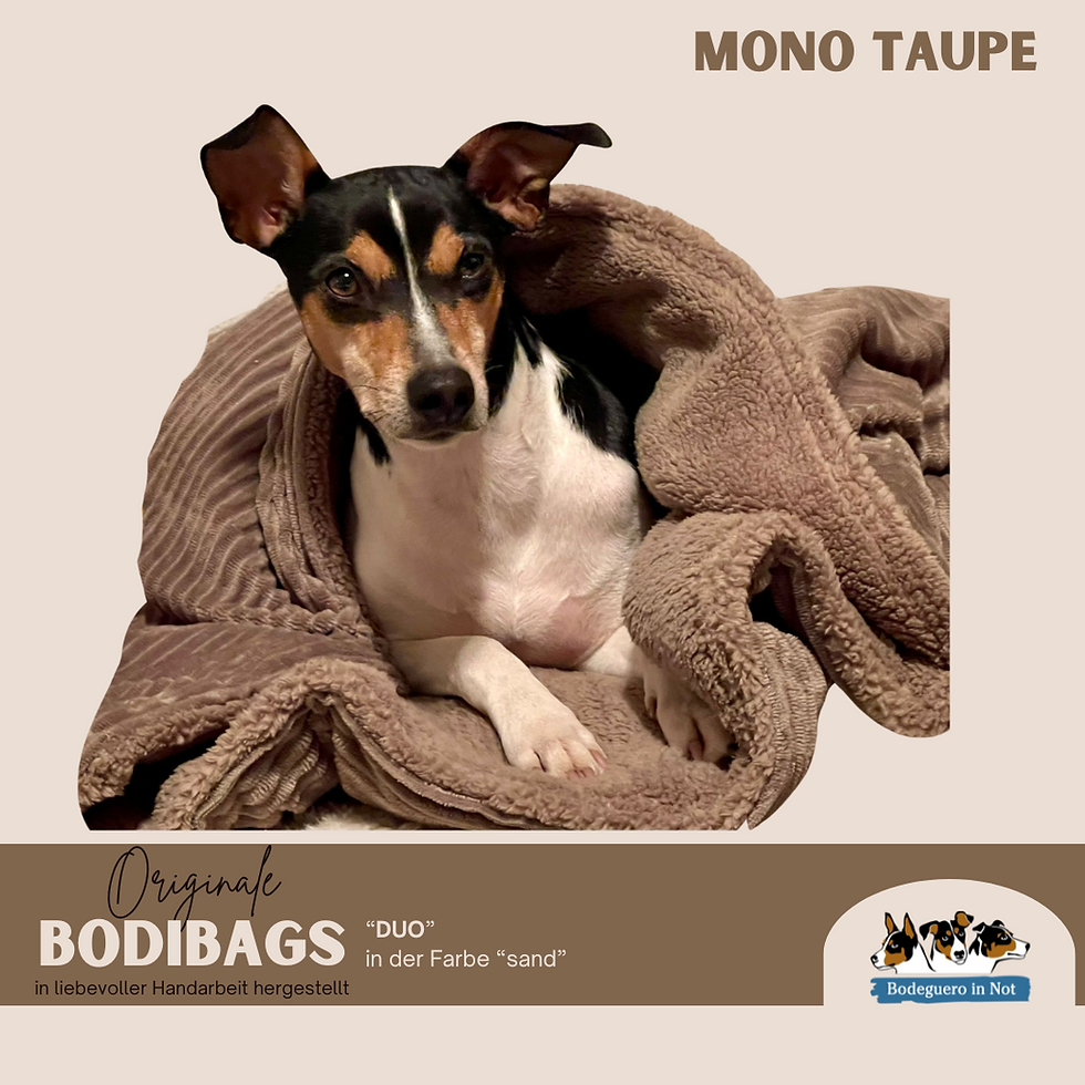 Miniaturbild: Bodibag