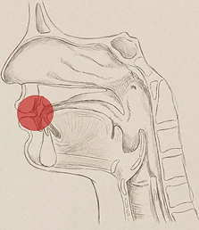 Screenshot 2026-03-25 055341.png