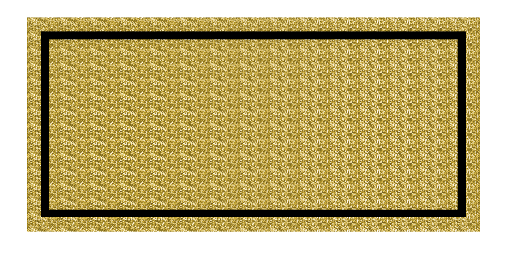 imageedit_65_8708513520.gif