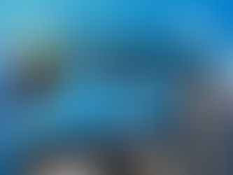 Stock Health Index dalam Manajemen Gudang