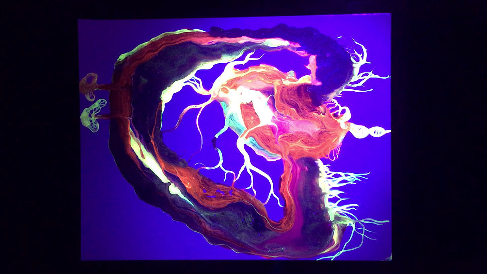 Thumbnail: Cosmic King