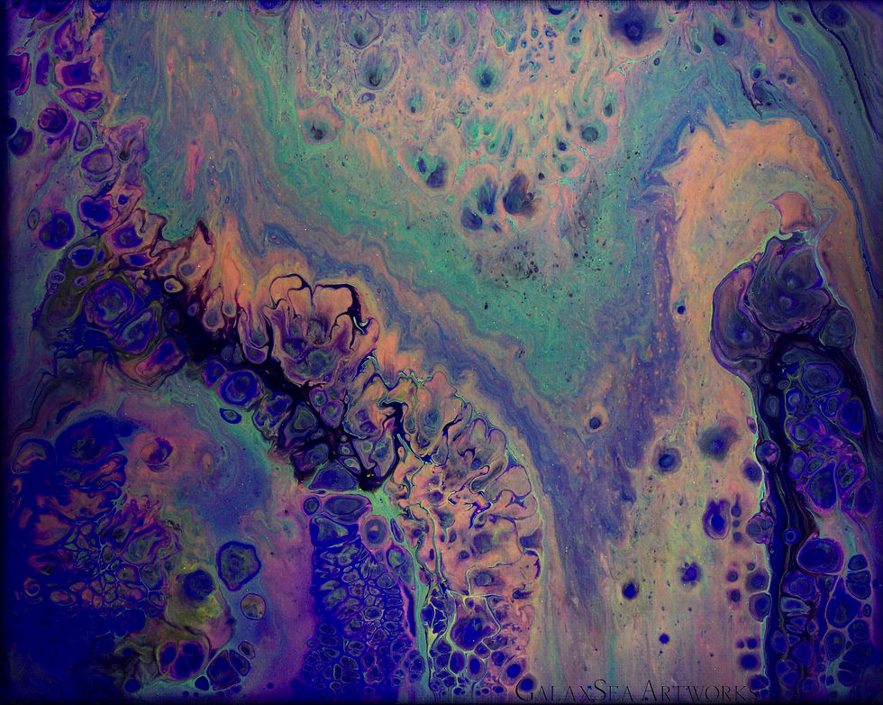 Thumbnail: Heteractis Aurora