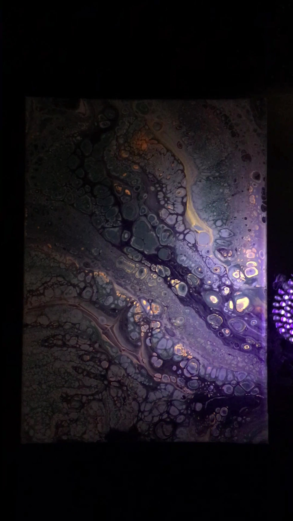 Thumbnail: Cellular Estuary