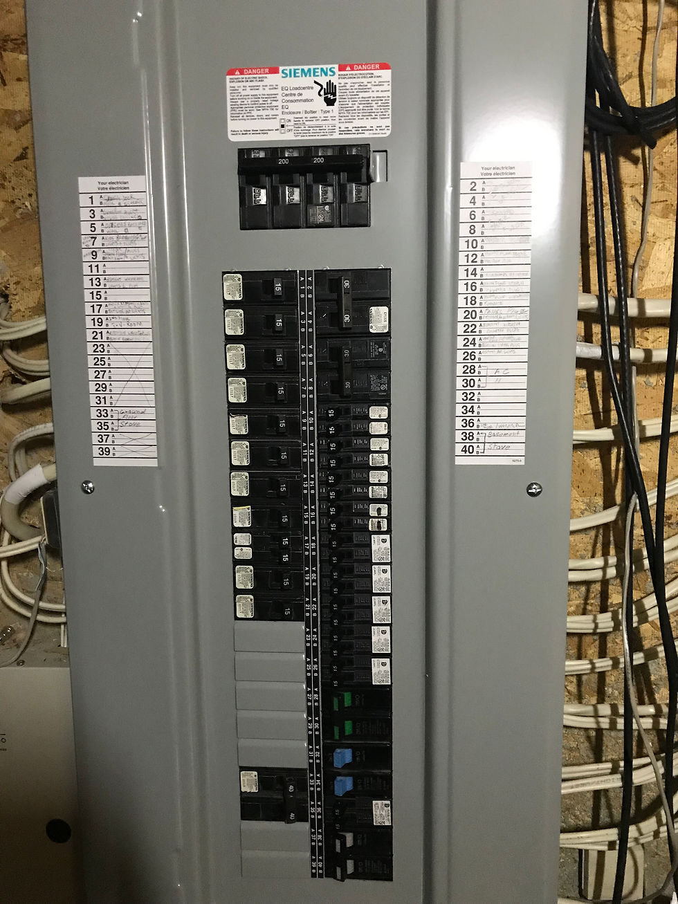 Panel