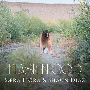 saera-fiora-shaun-diaz-flash-flood-1.png