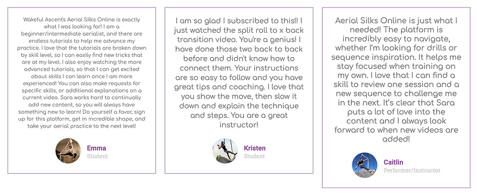 aerial-teacher-training-silks-lyra-tutorials-strength-conditioning