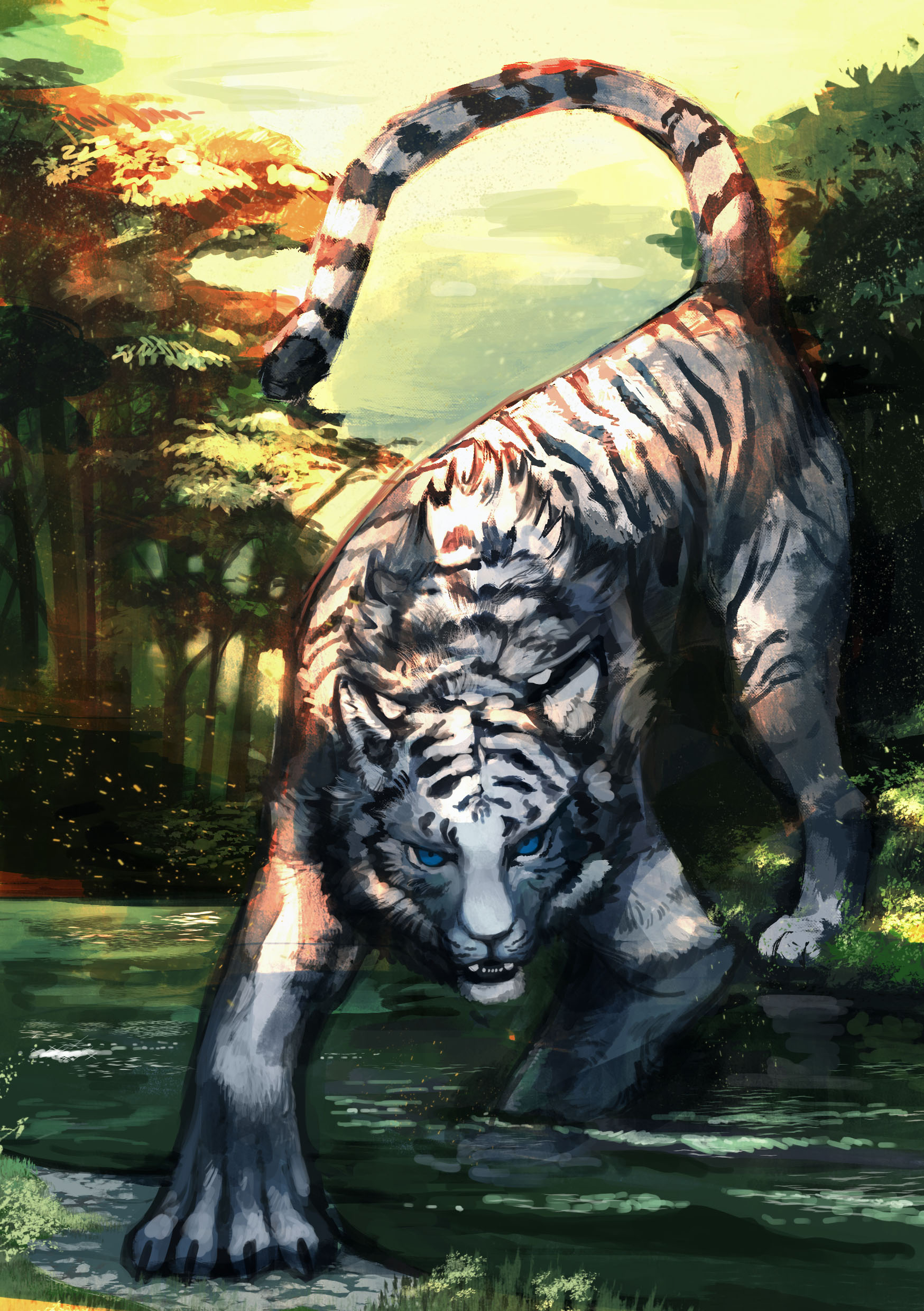 白虎 イラスト 白虎 イラスト