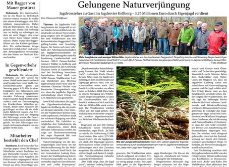 Gelungene Naturverjüngung