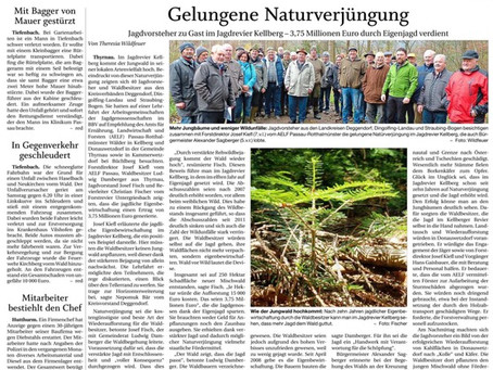 Gelungene Naturverjüngung