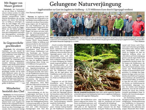 Gelungene Naturverjüngung