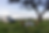Truck 2 0 Moajaza - Black-branchremove.png