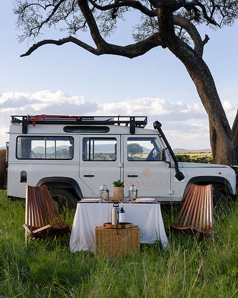 Truck 1 -Moajaza Logo.jpg