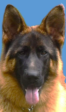 Raven Head 30.JPG