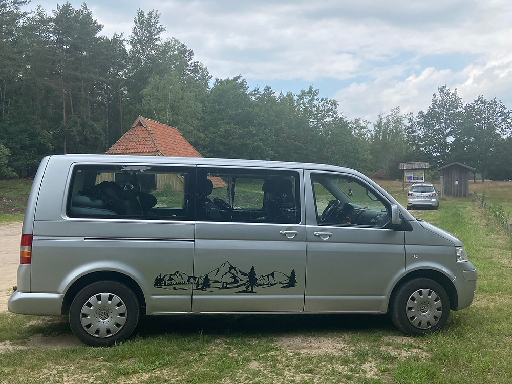 Südheide - Wachholderheide