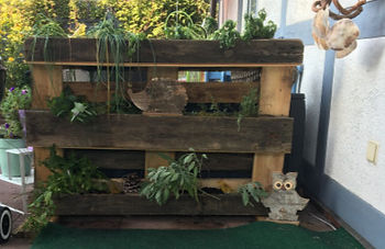 Paletten Kräutergarten DIY