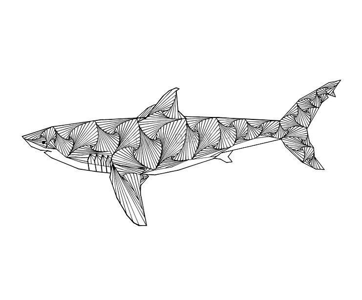 Shark by Dylan Dasey © 2024