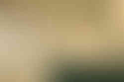 DSC00222-HDR.jpg
