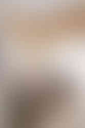 Zen house drawing room.jpg