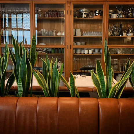 72961563_2522220807813849_6360777601086128128_n