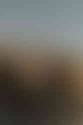 a couple on the beach laughing