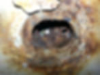 Rust