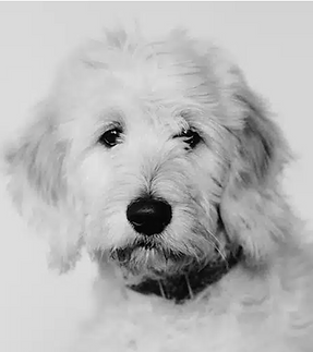 Screenshot 2024-11-04 at 18.05.16.png