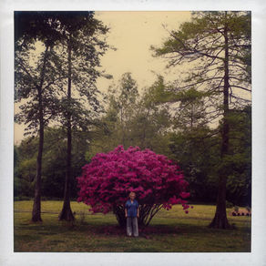 Give Us Pleasure in the Flowers Today