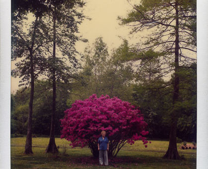 Give Us Pleasure in the Flowers Today