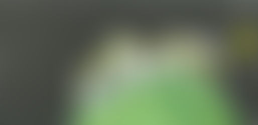 Black History Month Celebration