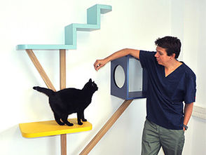 Le chat : un axe de développement majeur chez VetPartners