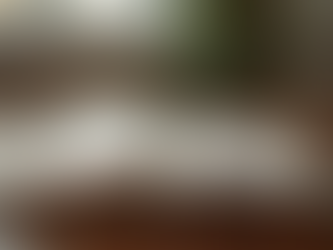 November — Global Bible Month: Open the Word, Open Your Heart