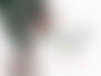 Sowing seeds in 2 Corinthians 9:6 — Symbolizing Generosity and Faith in Growth