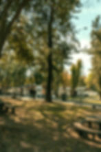 CPCH PARQUE (1 de 43)_edited