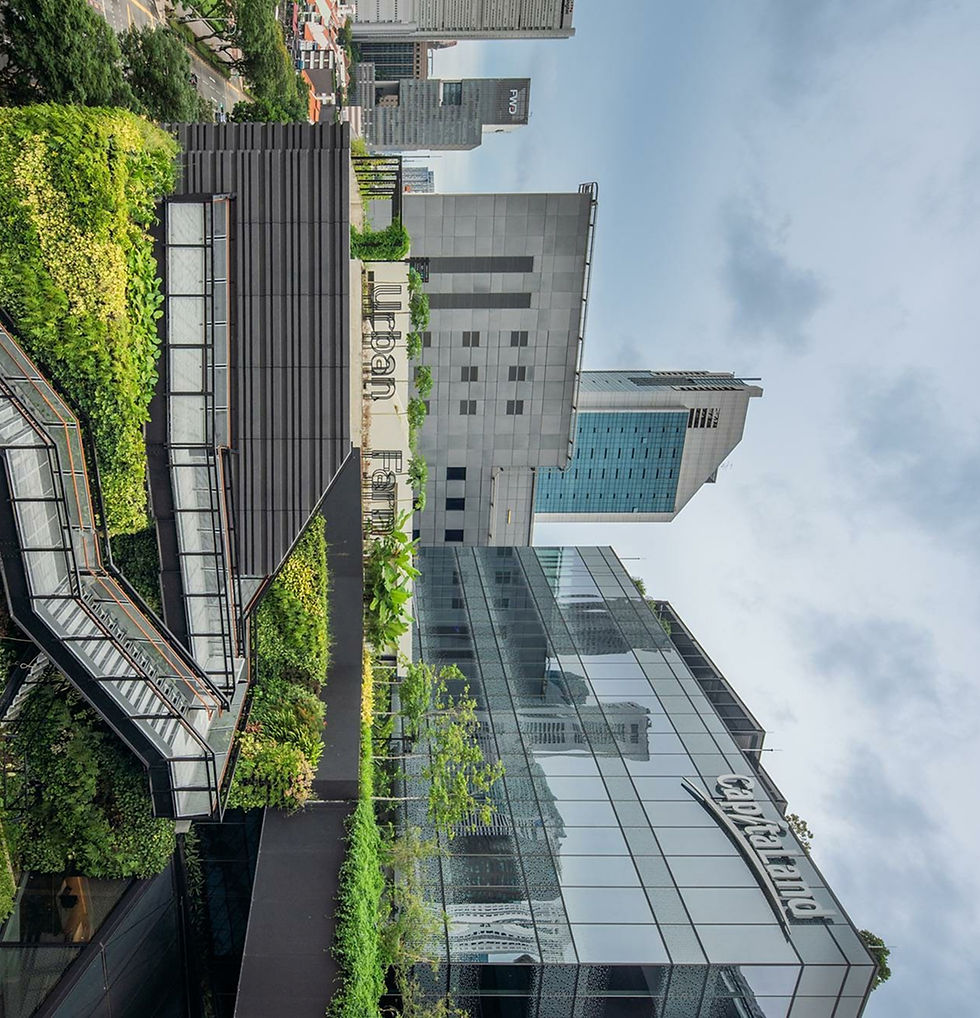 Broad Picture 2_edited.jpg