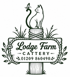 EFB329F4-982E-4D87-8215-F52511E395DE.png
