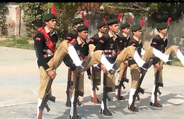 EmbeddedImage (2).jpg