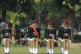 EmbeddedImage (8).jpg